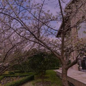 دانلود آهنگ حسین الجسمی فستانک الأبیض